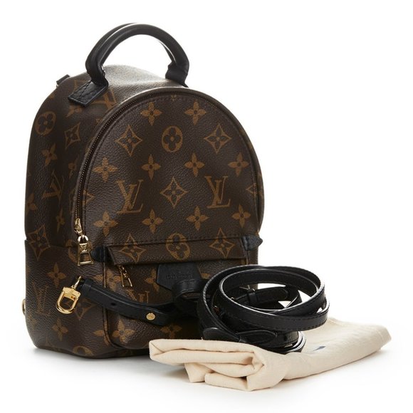 Louis Vuitton Handbags - Louis Vuitton PALM SPRINGS BACKPACK MINI